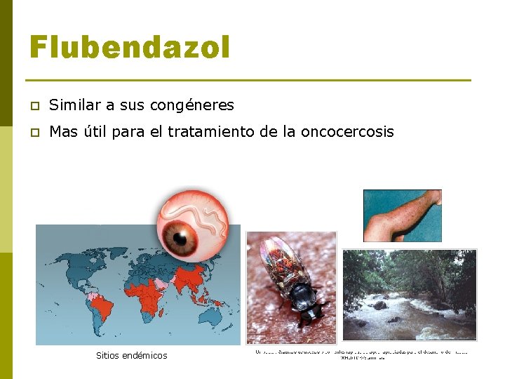 Flubendazol p Similar a sus congéneres p Mas útil para el tratamiento de la