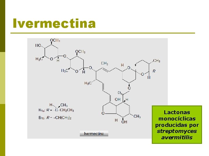 Ivermectina Lactonas monocíclicas producidas por streptomyces avermitilis 