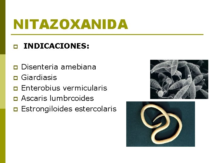 NITAZOXANIDA p p p INDICACIONES: Disenteria amebiana Giardiasis Enterobius vermicularis Ascaris lumbrcoides Estrongiloides estercolaris