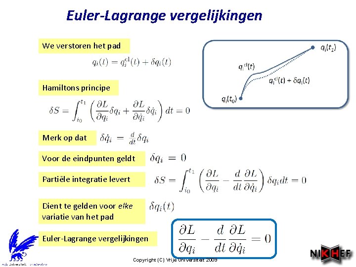 Euler-Lagrange vergelijkingen We verstoren het pad Hamiltons principe Merk op dat Voor de eindpunten