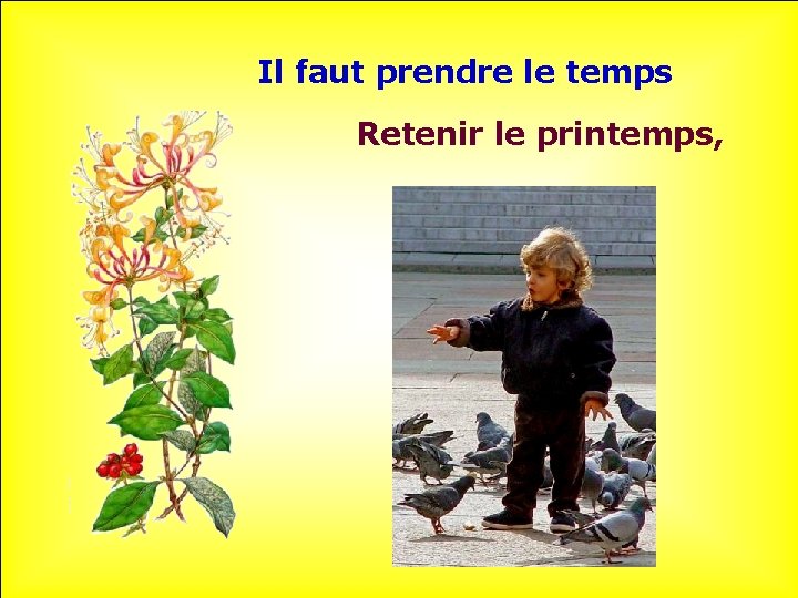 Il faut prendre le temps Retenir le printemps, . . 