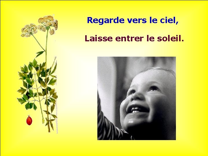 Regarde vers le ciel, Laisse entrer le soleil. . . 