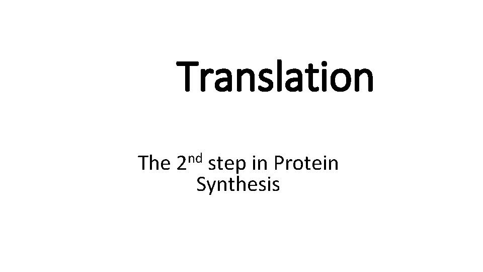 Translation The nd 2 step in Protein Synthesis Translation The nd 2 step in Protein Synthesis