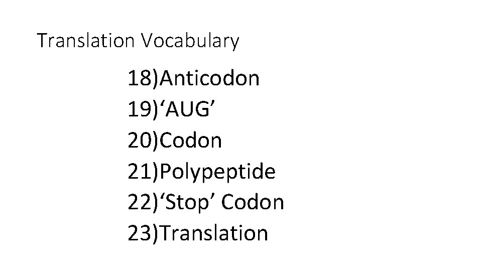 Translation Vocabulary 18)Anticodon 19)‘AUG’ 20)Codon 21)Polypeptide 22)‘Stop’ Codon 23)Translation Translation Vocabulary 18)Anticodon 19)‘AUG’ 20)Codon 21)Polypeptide 22)‘Stop’ Codon 23)Translation