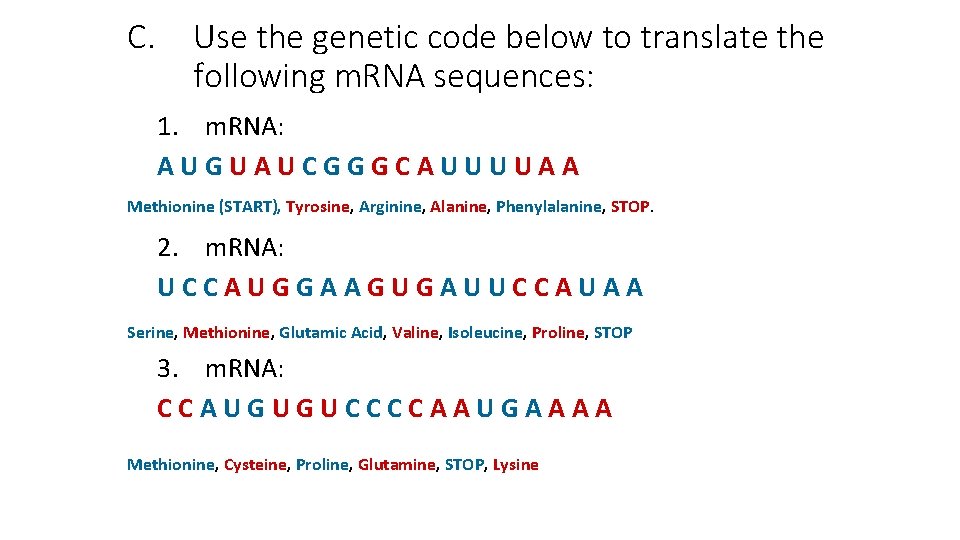 Translation The nd 2 step in Protein Synthesis