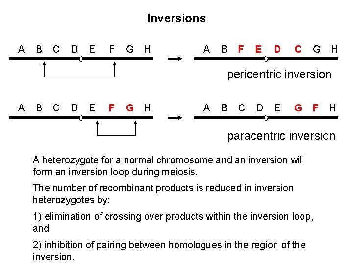 Inversions A B C D E F G H A B F E D