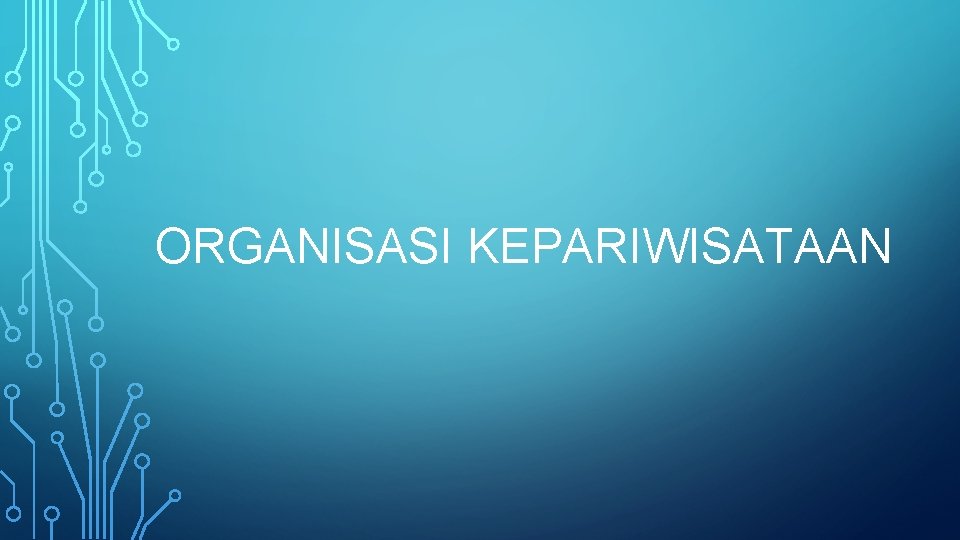 ORGANISASI KEPARIWISATAAN 