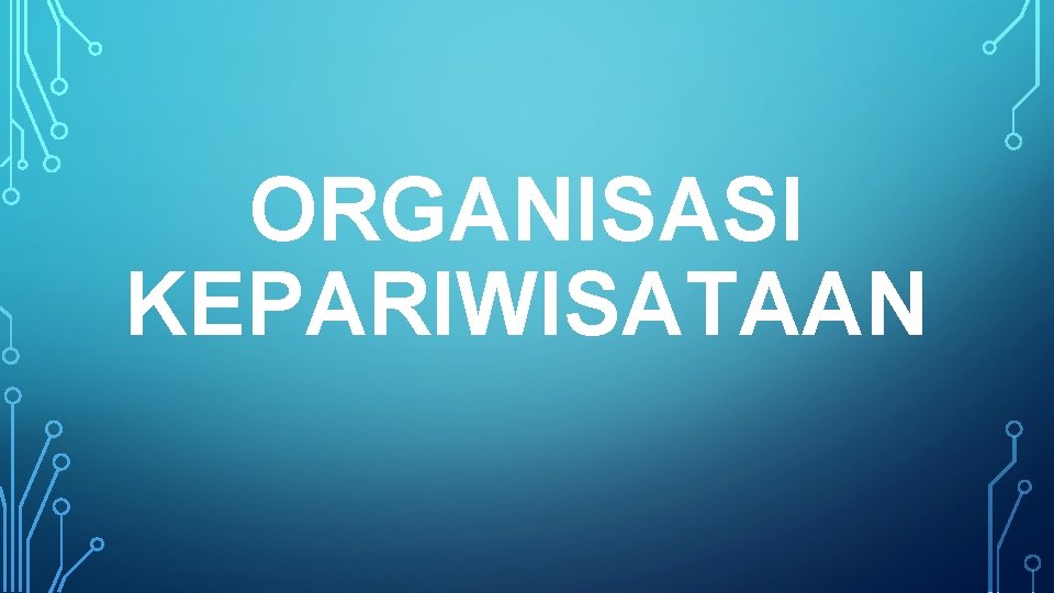 ORGANISASI KEPARIWISATAAN 