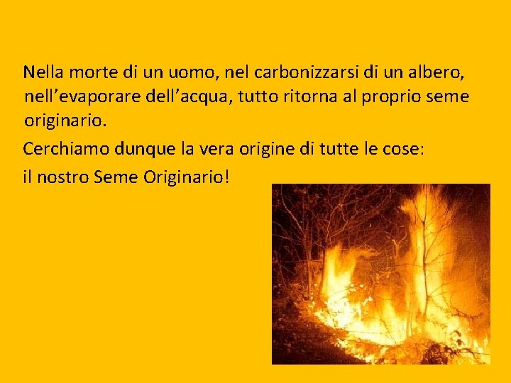 Nella morte di un uomo, nel carbonizzarsi di un albero, nell’evaporare dell’acqua, tutto ritorna Nella morte di un uomo, nel carbonizzarsi di un albero, nell’evaporare dell’acqua, tutto ritorna