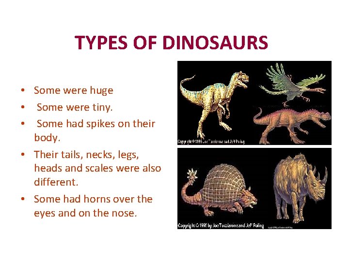 TYPES OF DINOSAURS Some were huge Some were tiny. Some had spikes on their
