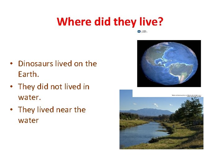 Where did they live? • Dinosaurs lived on the Earth. • They did not