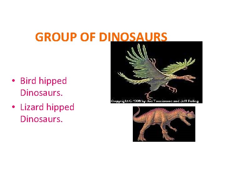 GROUP OF DINOSAURS • Bird hipped Dinosaurs. • Lizard hipped Dinosaurs. 