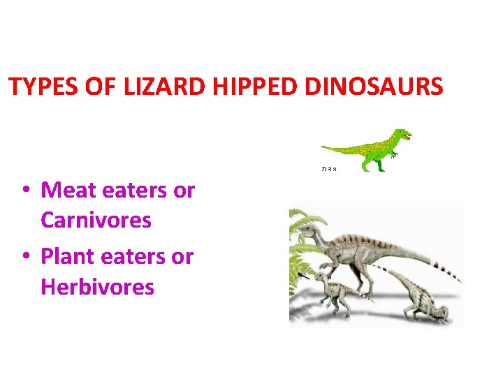 TYPES OF LIZARD HIPPED DINOSAURS • Meat eaters or Carnivores • Plant eaters or
