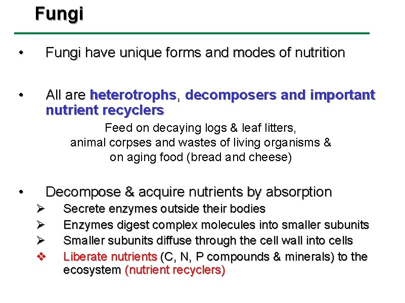Fungi • Fungi have unique forms and modes of nutrition • All are heterotrophs,