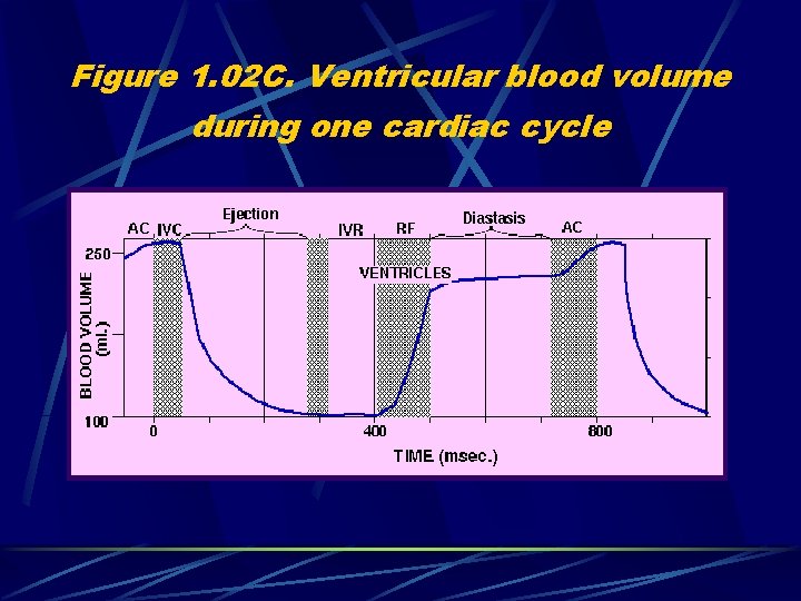 Figure 1. 02 C. Ventricular blood volume during one cardiac cycle 