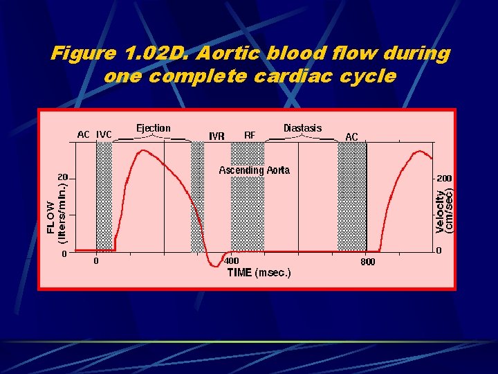 Figure 1. 02 D. Aortic blood flow during one complete cardiac cycle 