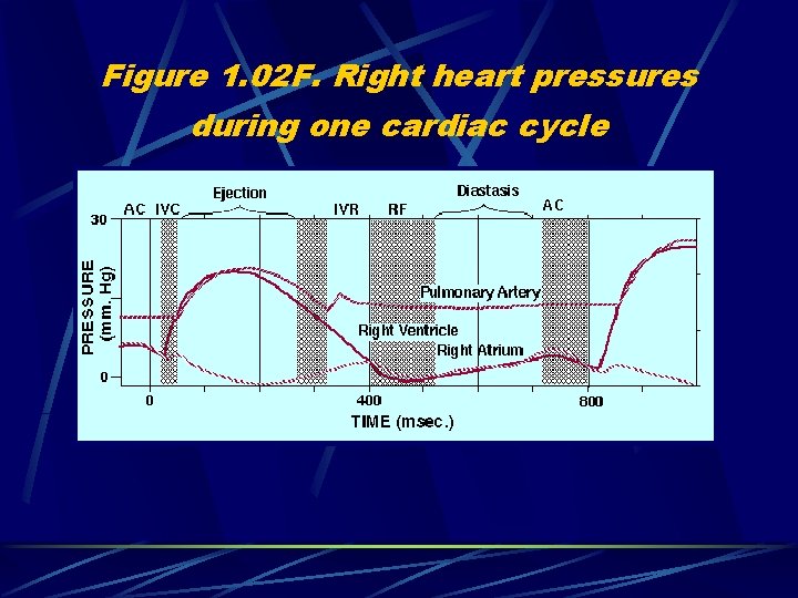 Figure 1. 02 F. Right heart pressures during one cardiac cycle 