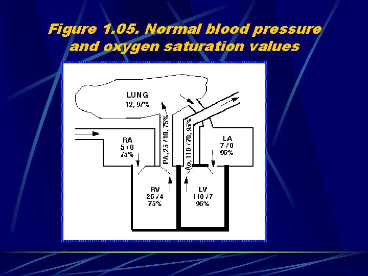 Figure 1. 05. Normal blood pressure and oxygen saturation values 