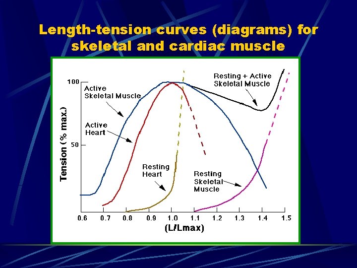 Length-tension curves (diagrams) for skeletal and cardiac muscle 