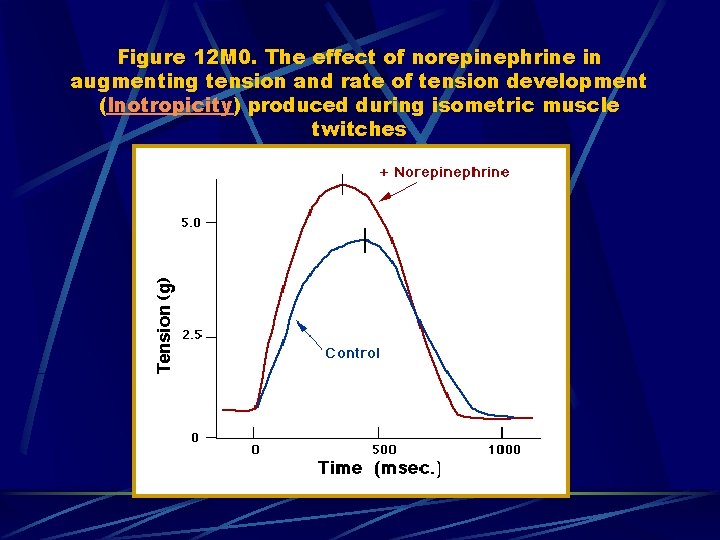 Figure 12 M 0. The effect of norepinephrine in augmenting tension and rate of