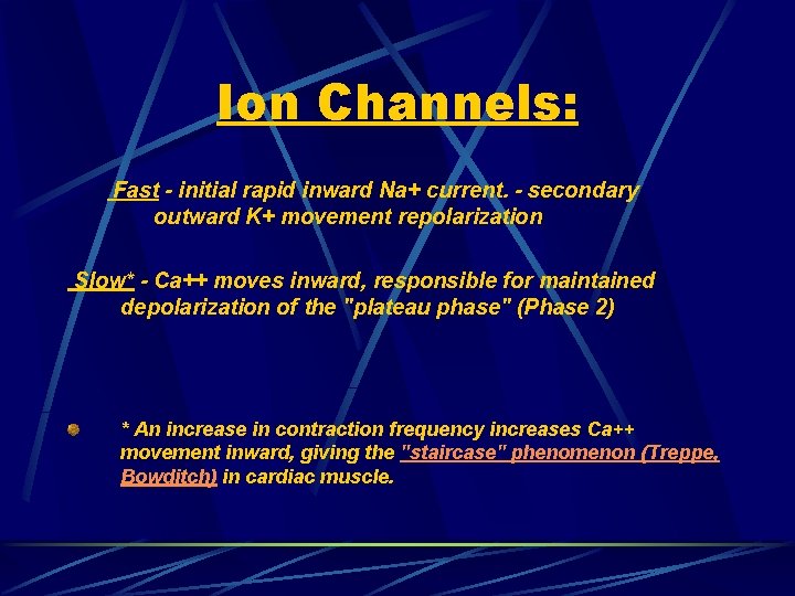 Ion Channels: Fast - initial rapid inward Na+ current. - secondary outward K+ movement