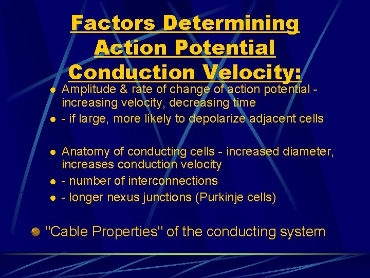 l l l Factors Determining Action Potential Conduction Velocity: Amplitude & rate of change