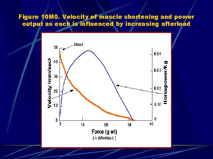 Figure 10 M 0. Velocity of muscle shortening and power output as each is