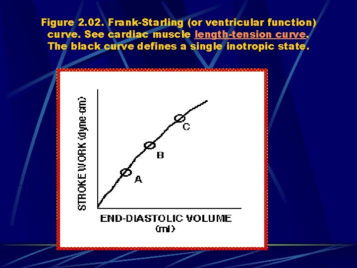 Figure 2. 02. Frank-Starling (or ventricular function) curve. See cardiac muscle length-tension curve. The