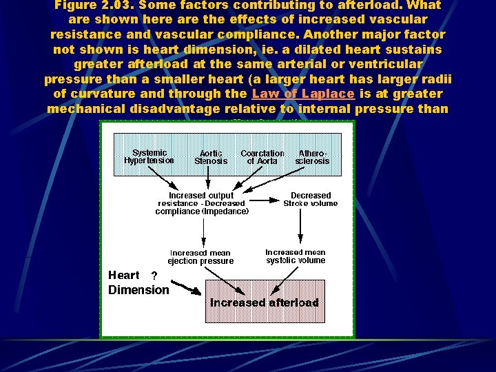 Figure 2. 03. Some factors contributing to afterload. What are shown here are the