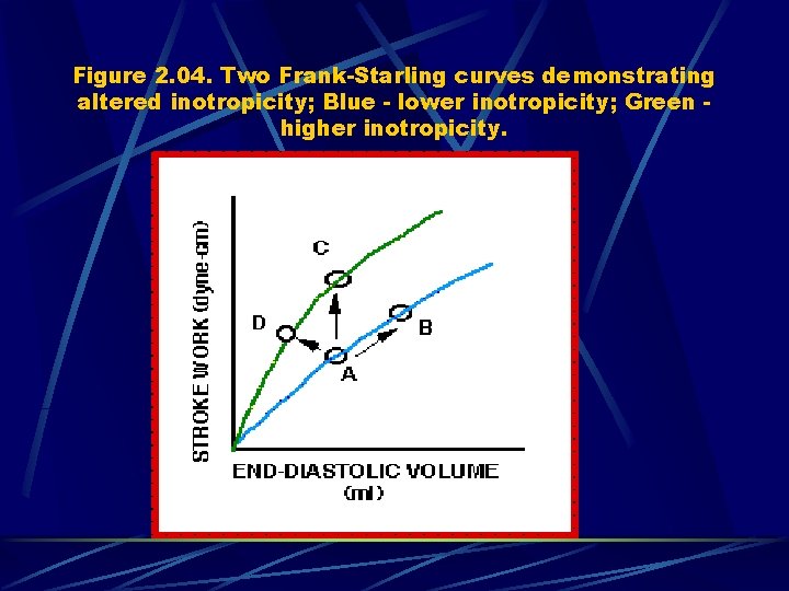 Figure 2. 04. Two Frank-Starling curves demonstrating altered inotropicity; Blue - lower inotropicity; Green