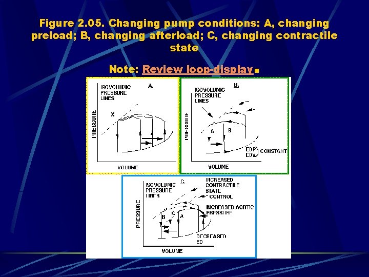 Figure 2. 05. Changing pump conditions: A, changing preload; B, changing afterload; C, changing