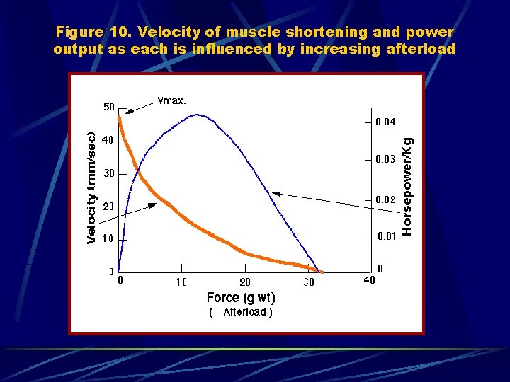 Figure 10. Velocity of muscle shortening and power output as each is influenced by