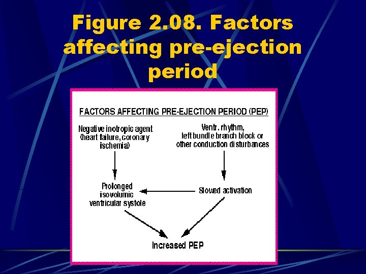 Figure 2. 08. Factors affecting pre-ejection period 