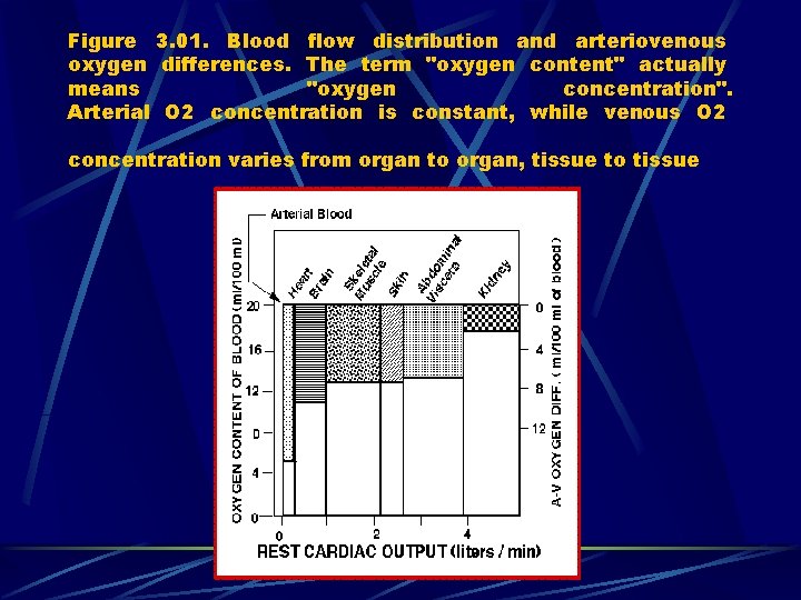 Figure 3. 01. Blood flow distribution and arteriovenous oxygen differences. The term "oxygen content"
