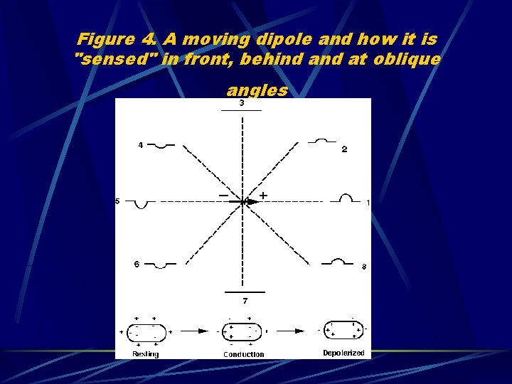 Figure 4. A moving dipole and how it is "sensed" in front, behind at