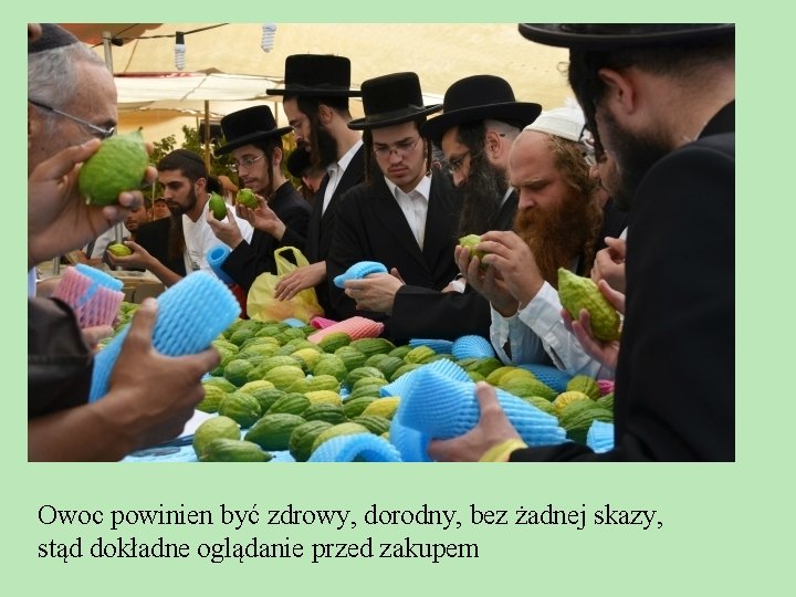 Owoc powinien być zdrowy, dorodny, bez żadnej skazy, stąd dokładne oglądanie przed zakupem Owoc powinien być zdrowy, dorodny, bez żadnej skazy, stąd dokładne oglądanie przed zakupem