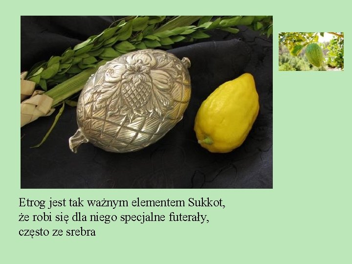 Etrog jest tak ważnym elementem Sukkot, że robi się dla niego specjalne futerały, często Etrog jest tak ważnym elementem Sukkot, że robi się dla niego specjalne futerały, często