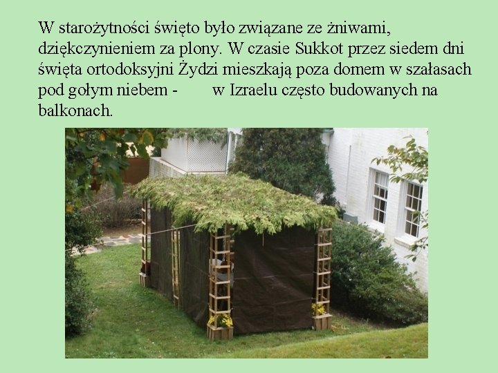W starożytności święto było związane ze żniwami, dziękczynieniem za plony. W czasie Sukkot przez W starożytności święto było związane ze żniwami, dziękczynieniem za plony. W czasie Sukkot przez