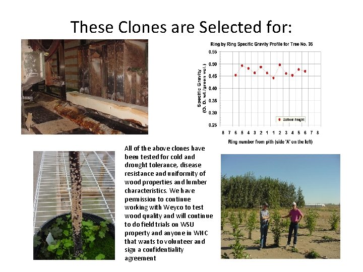 These Clones are Selected for: All of the above clones have been tested for