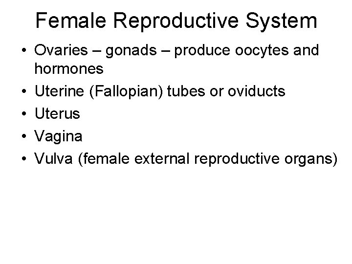 Female Reproductive System • Ovaries – gonads – produce oocytes and hormones • Uterine Female Reproductive System • Ovaries – gonads – produce oocytes and hormones • Uterine