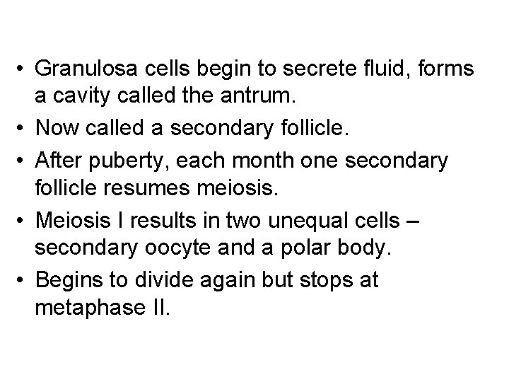• Granulosa cells begin to secrete fluid, forms a cavity called the antrum. • Granulosa cells begin to secrete fluid, forms a cavity called the antrum.