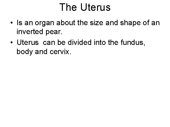 The Uterus • Is an organ about the size and shape of an inverted The Uterus • Is an organ about the size and shape of an inverted
