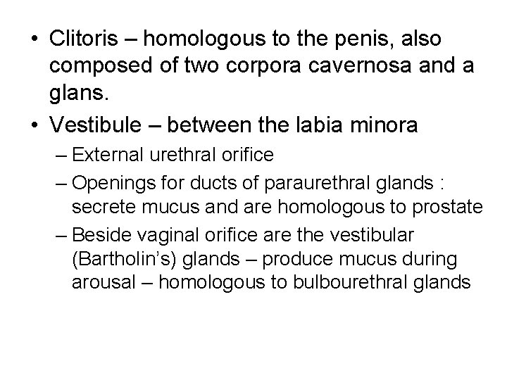 • Clitoris – homologous to the penis, also composed of two corpora cavernosa • Clitoris – homologous to the penis, also composed of two corpora cavernosa