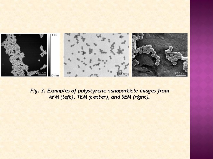 Fig. 3. Examples of polystyrene nanoparticle images from AFM (left), TEM (center), and SEM