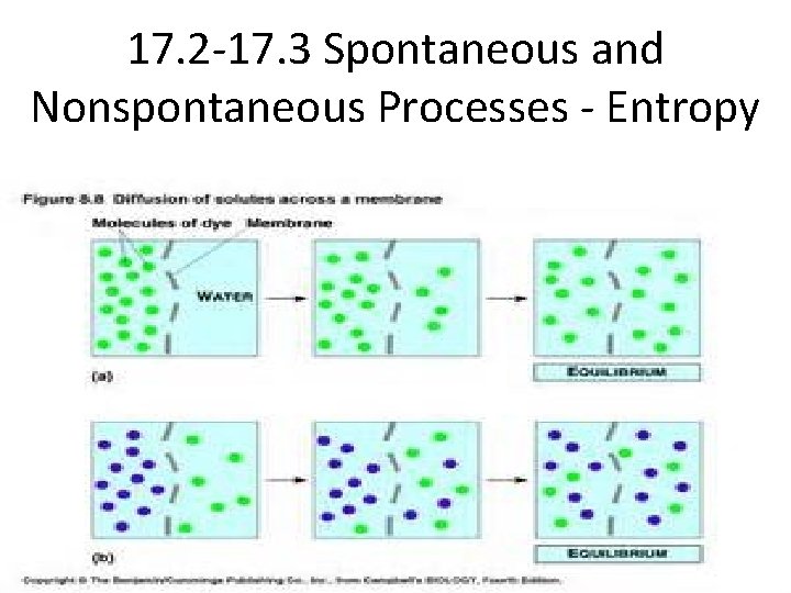 17. 2 -17. 3 Spontaneous and Nonspontaneous Processes - Entropy 
