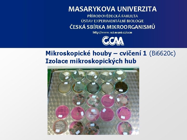 MASARYKOVA UNIVERZITA PŘÍRODOVĚDECKÁ FAKULTA ÚSTAV EXPERIMENTÁLNÍ BIOLOGIE ČESKÁ SBÍRKA MIKROORGANISMŮ http: //www. sci. muni.