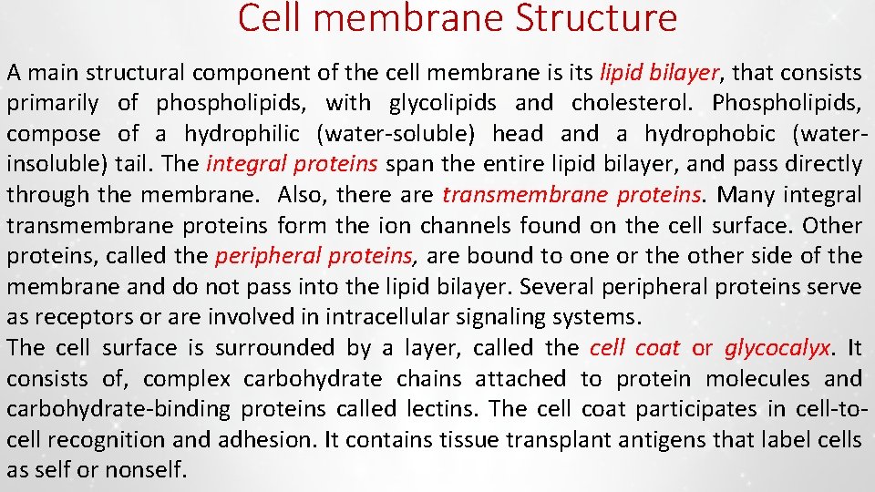 Cell membrane Structure A main structural component of the cell membrane is its lipid