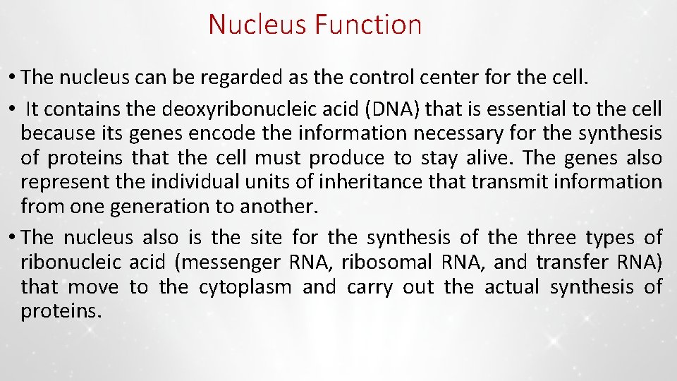 Nucleus Function • The nucleus can be regarded as the control center for the