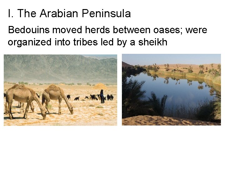 I. The Arabian Peninsula Bedouins moved herds between oases; were organized into tribes led