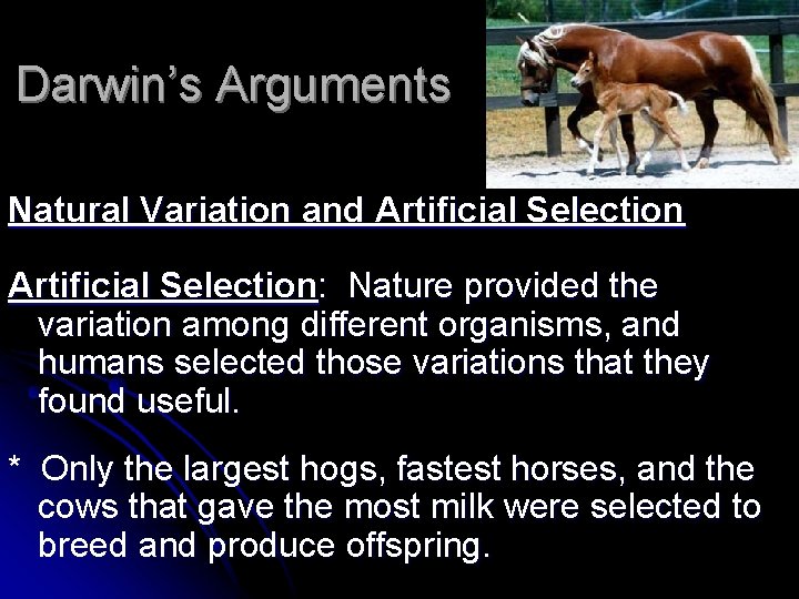 Darwin’s Arguments Natural Variation and Artificial Selection: Nature provided the variation among different organisms,